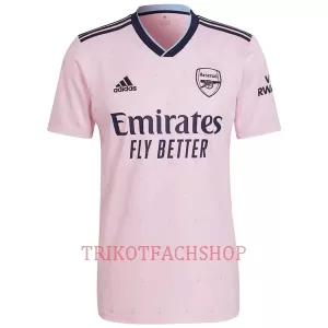 Arsenal Ausweichtrikot 22/23 für Herren