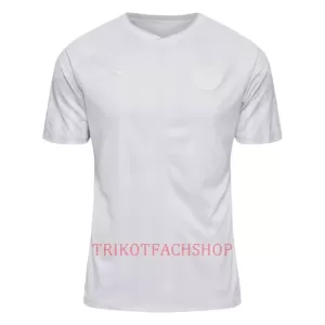 Dänemark Auswärtstrikot WM 2022 für Herren