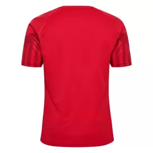 Dänemark Heimtrikot WM 2022 für Herren