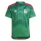 Mexiko Heimtrikot WM 2022 für Herren