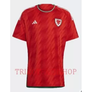Wales Heimtrikot WM 2022 für Herren Wales Heimtrikot WM 2022 für Herren