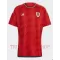 Wales Heimtrikot WM 2022 für Herren