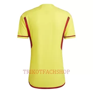Kolumbien Heimtrikot 2022 für Herren