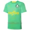 Palmeiras Ausweichtrikot 22/23 für Herren
