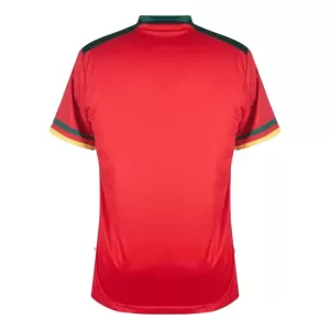 Kamerun Ausweichtrikot WM 2022 für Herren