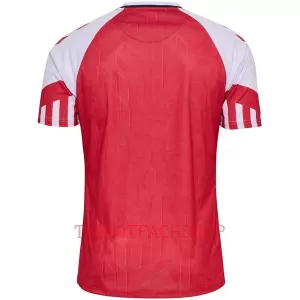 Dänemark Heimtrikot 2023 für Herren