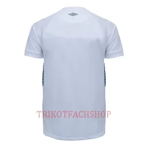 Grêmio FBPA Auswärtstrikot 23/24 für Herren