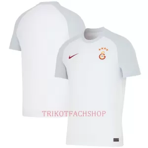 Galatasaray SK Auswärtstrikot 23/24 für Herren Galatasaray SK Auswärtstrikot 23/24 für Herren