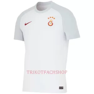 Galatasaray SK Auswärtstrikot 23/24 für Herren