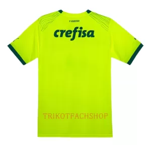 Palmeiras Ausweichtrikot 23/24 für Herren