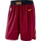 Cleveland Cavaliers NBA-Shorts Icon Edition Swingman