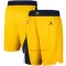 Indiana Pacers NBA-Shorts Statement Edition Swingman
