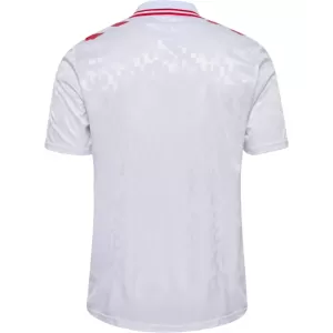 Dänemark Auswärtstrikot Euro 2024 für Herren