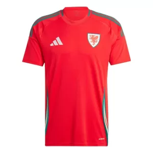 Wales Heimtrikot 2024 für Herren Wales Heimtrikot 2024 für Herren