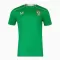 Irland Heimtrikot 24/25 für Herren