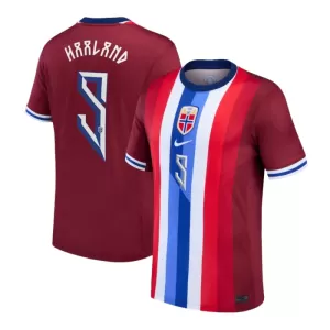 Norwegen Erling Haaland 9 Heimtrikot 2024 für Herren Norwegen Erling Haaland 9 Heimtrikot 2024 für Herren