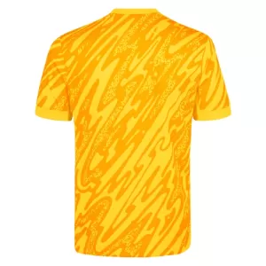 Tottenham Hotspur Torwart Trikot 24/25 für Herren Gelb