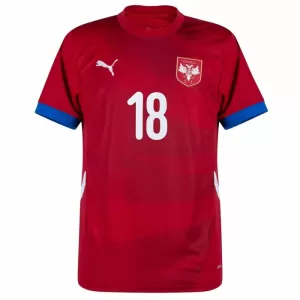Serbien Dušan Vlahovic 18 Heimtrikot Euro 2024 für Herren