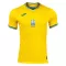 Ukraine Heimtrikot Euro 2024 für Herren