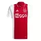 Ajax Amsterdam Heimtrikot 24/25 für Herren