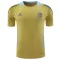 Argentinien Pre-Match Trikot 2024 für Herren Gelb