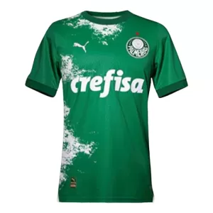 Palmeiras Trikot 2024 für Herren Grün (Speziell) Palmeiras Trikot 2024 für Herren Grün (Speziell)