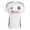 Ajax Amsterdam Ausweichtrikot 24/25 für Herren