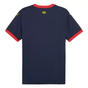 Girona Auswärtstrikot 24/25 für Herren