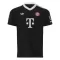 FC Bayern München Torwart Ausweichtrikot 24/25 für Herren