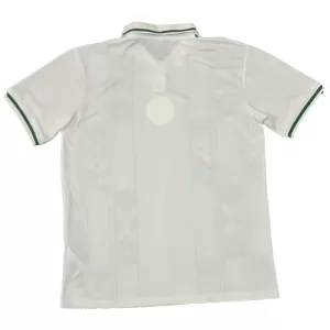 Nigeria Trikot 24/25 für Herren (Speziell)