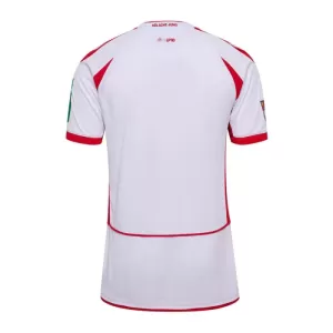 FC Köln Trikot 24/25 für Herren (Speziell)