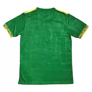 Mexiko Trikot 24/25 für Herren Grün (Speziell)