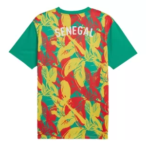 Senegal Pre-Match Trikot 24/25 für Herren