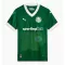 Palmeiras Heimtrikot 25/26 für Herren