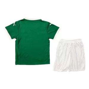 Palmeiras Heimtrikot 25/26 für Kinder