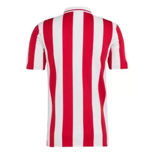 Olympiakos 100th Trikot Jahrestag 24/25 für Herren