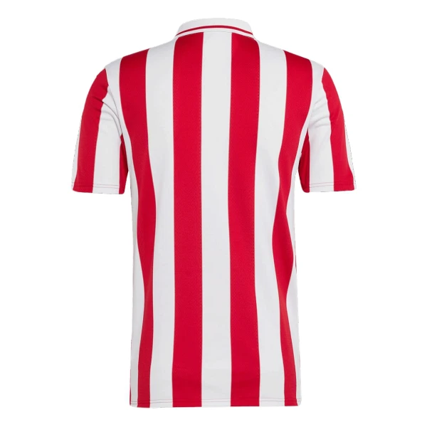 Olympiakos 100th Trikot Jahrestag 24/25 für Herren