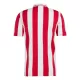 Olympiakos 100th Trikot Jahrestag 24/25 für Herren