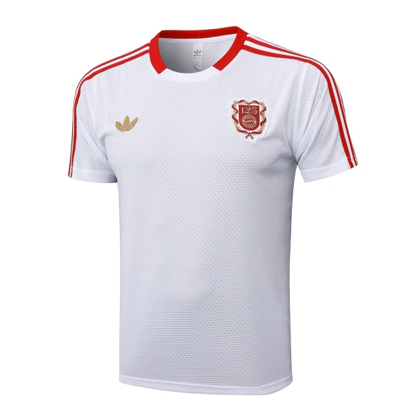 FC Bayern München Trikot Jahrestag 24/25 für Herren FC Bayern München Trikot Jahrestag 24/25 für Herren