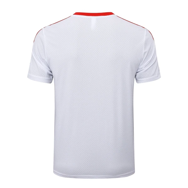 FC Bayern München Trikot Jahrestag 24/25 für Herren