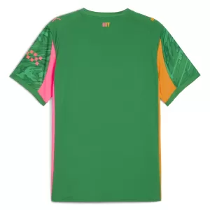 Manchester City Torwart Trikot 25/26 für Herren Grün