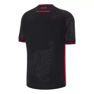 Albanien Ausweichtrikot 25/26 für Herren