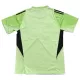 Newcastle United Torwart Trikot 25/26 für Herren