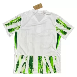 Nigeria Auswärtstrikot 25/26 für Herren