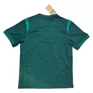 Nigeria Heimtrikot 25/26 für Herren
