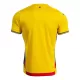 Rumänien Heimtrikot 2025 für Herren