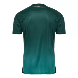 Werder Bremen Ausweichtrikot 25/26 für Herren