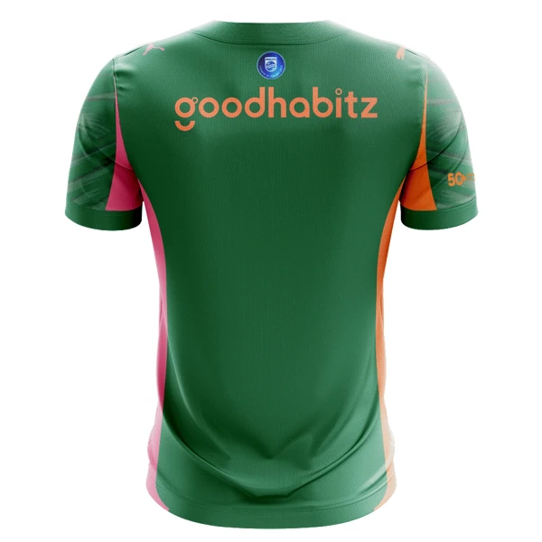 PSV Eindhoven Torwart Trikot 25/26 für Herren Grün