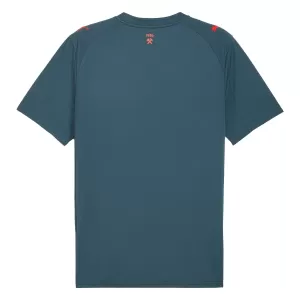 Shakhtar Donetsk Auswärtstrikot 25/26 für Herren