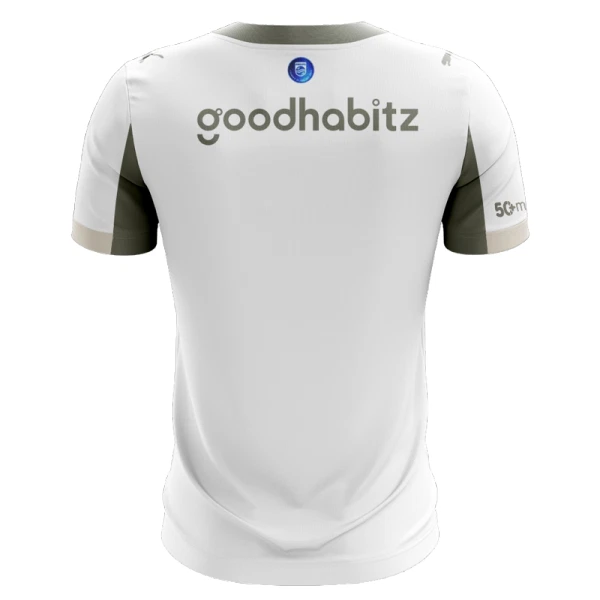PSV Eindhoven Ausweichtrikot 25/26 für Herren